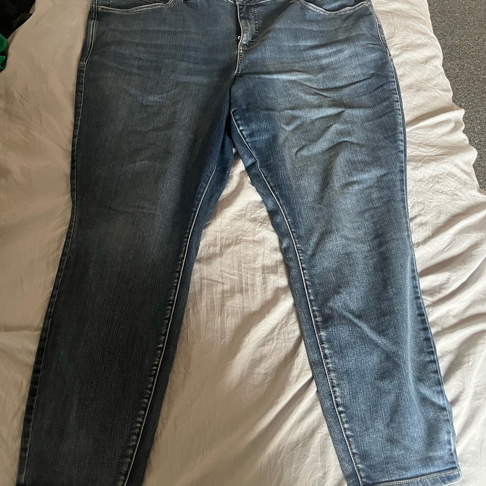 Classic Blue Denim Jeans plus size 24W short